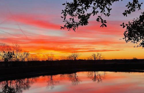 Honey Farms - Foto 17