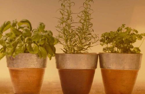 Ferienwohnungen Brombachsee - Foto 7