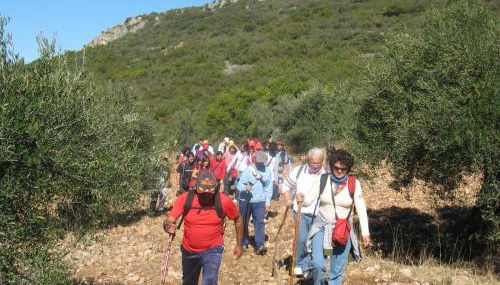 Cortijo "Era Grande 1" - Foto 4