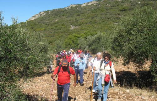 Cortijo "Era Grande 1" - Foto 4
