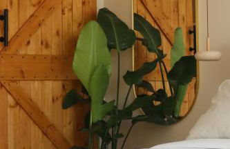 Suite l'Aparté - Foto 11