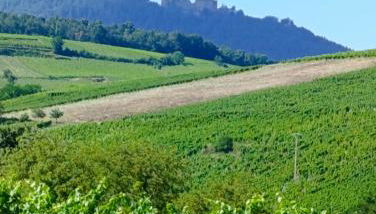 Le Nid Douillet de Bergheim - Foto 3