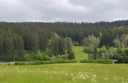 Ferienwohnung am Brunnen - Photo 32