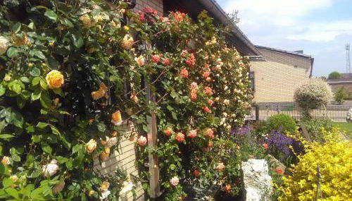 Fewo Hansemann 1 - Foto 4, Garden