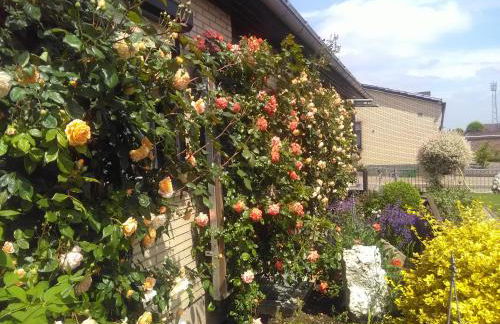 Fewo Hansemann 1 - Foto 4