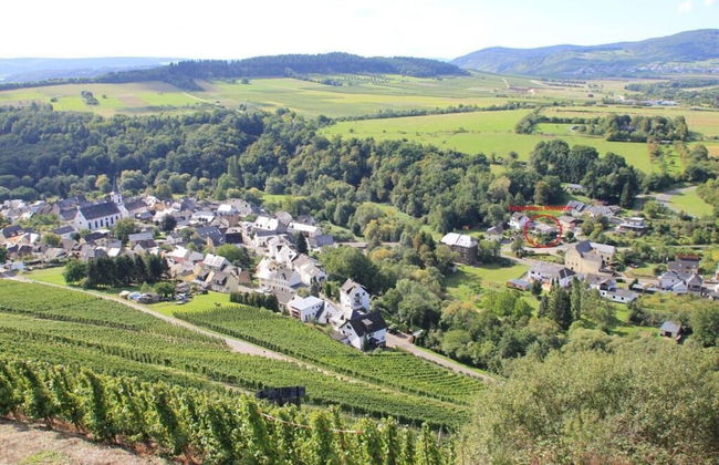 Holiday Home Moselle Valley - Photo 28