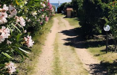 Bilocale Bouganville 80 mt spiaggia - Foto 18