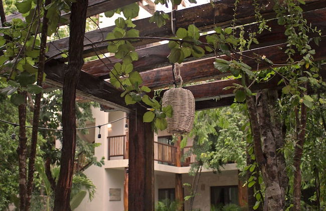 Casa Tulum - Photo 54