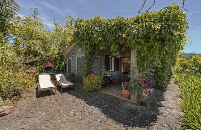 Quinta Devónia II - Tília by An Island Apart - Foto 24