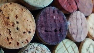 Maison calme à proximité du Lac - Foto 3