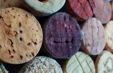 Maison calme à proximité du Lac - Photo 3