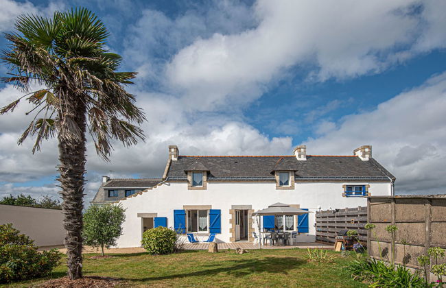 Les palmiers - Foto 16