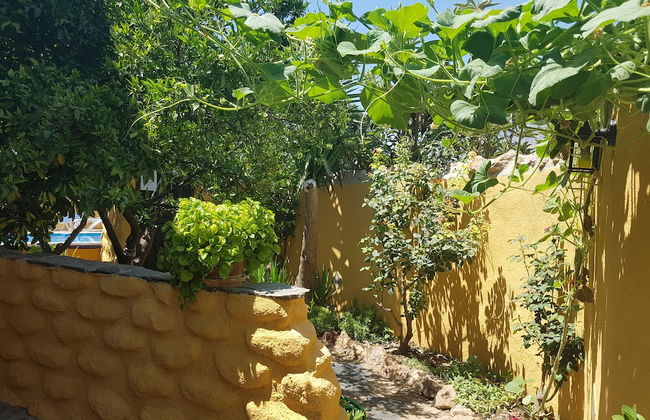 Casas Amaro - Foto 28