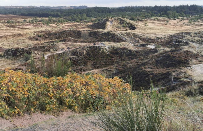 7 Person Holiday Home in Henne-by Traum - Foto 9