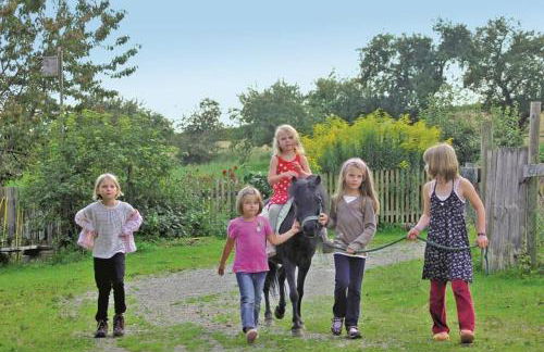 Hanauerhof - Foto 10