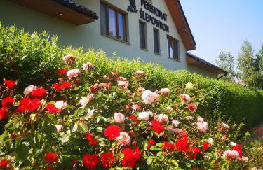 Pensjonat Ślepowron - Foto 1