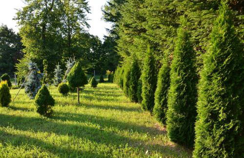 Gęsia Sielanka - Foto 12