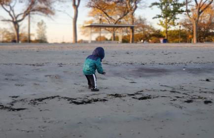 The Fred Deluxe 7 BR by I95 Train HarborVw Beach - Foto 64