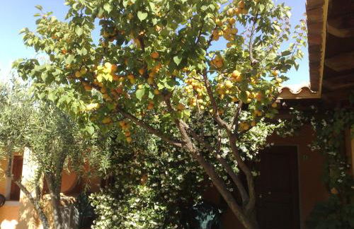 Residence La Pineta - Foto 47