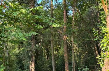 Tiny house face à la forêt - Évasion nature - Foto 18