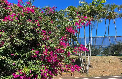 Central and Bright 2 BR, 2 BA, Pool and Oceanview - Foto 19