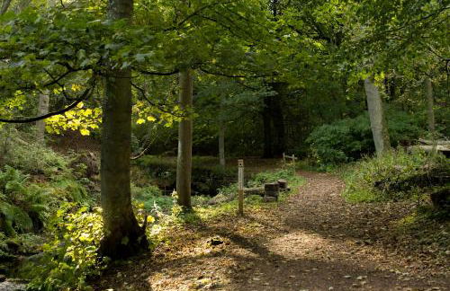 Off Grid Travel at Cambo Estate - Foto 8