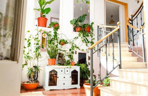 El Riu del Cel - Foto 25