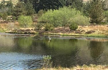 West Cumbria static caravan - Foto 20