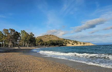Happy Holidays Villajoyosa by Bookaparadise - Foto 4