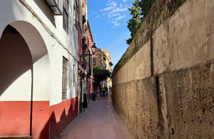 Apto T Patio Sevillano - Garaje privado con carga eléctrica - Foto 48