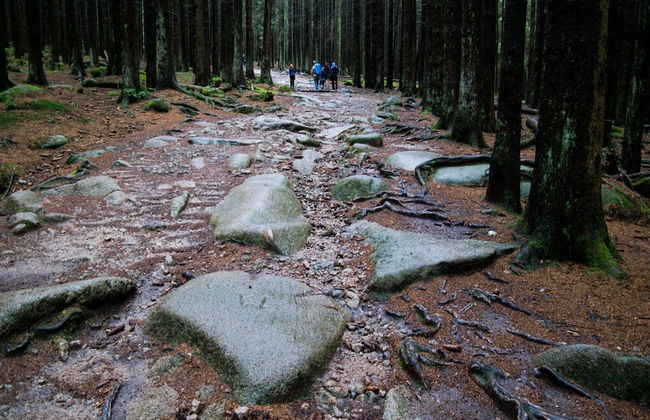 Ferienhaus in Schierke mit Garten - Foto 24