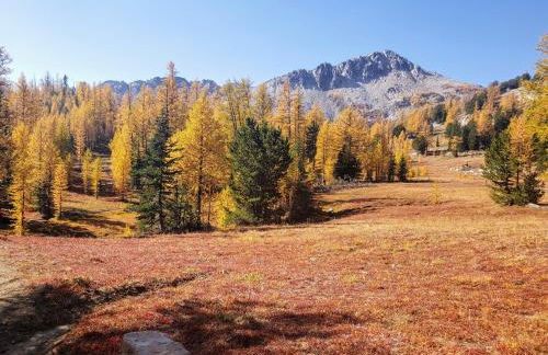 An Unexpected Twisp - Foto 11