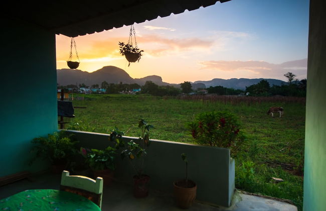 Holiday rental in Viñales with garden and terrace - Photo 35