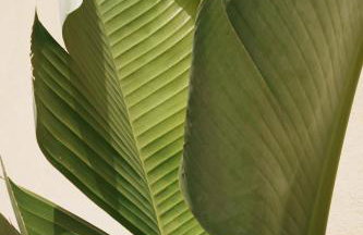 Ayla Corfu - Foto 33