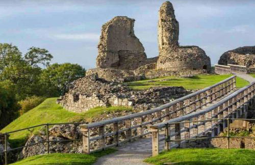 Ty Twty, Montgomery Cottage - Foto 12