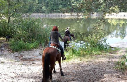 Agroturystyka Polana Harmonii - Foto 35