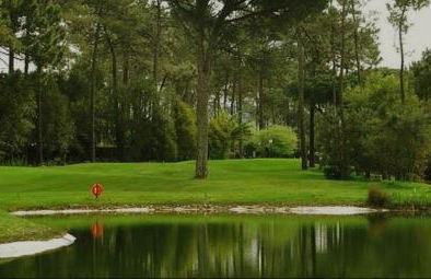 Studio Luxury Quinta da Barca - Foto 11