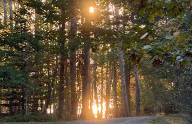 Oceanfront Acadia Views Arcade Game Room Pets Ok - Foto 16