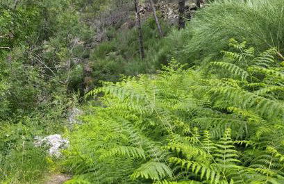 ABRIGO DO CABECINHO - SERRA DA ESTRELA - Foto 60