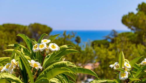 Nice to stay - Foto 2