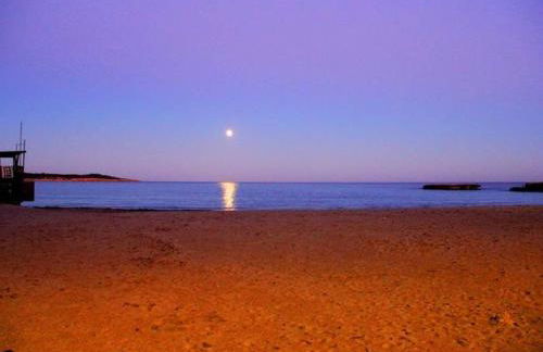 Apto Antic 101 Pax 6 - Foto 41