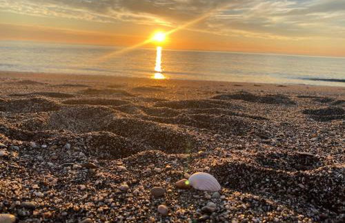 Manilva Beach Casa de Pedro - Photo 54