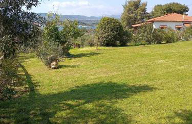 Ases Villa Lagonisi Halkidiki - Foto 41