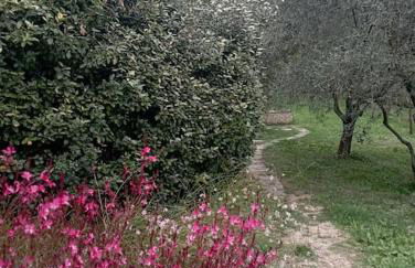 maisonnette provençale piscine le petit colibri - Foto 16