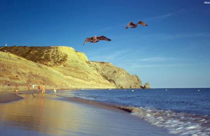 D5 - Amadeus Sunset Villa by Dreamalgarve - Foto 97