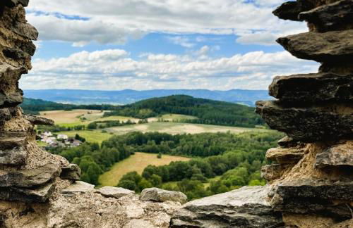 Ferienapartments Försterei Eibenstock - Foto 55