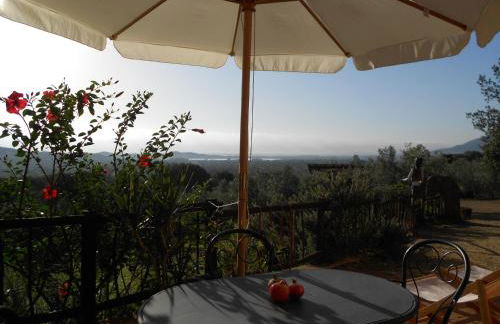 Nurazzolas - Foto 42