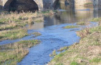 AU BORD DE L'EAU studio 1 - Photo 15