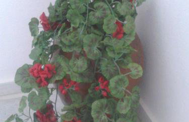 Vitzileos Studios - Foto 25