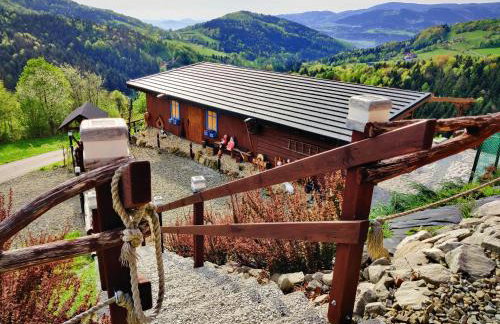 Agroturystyka Faron - Foto 26